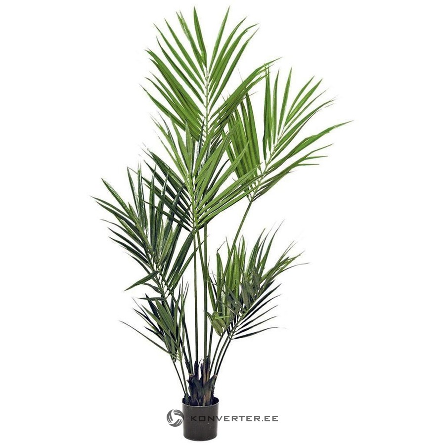 Dirbtiniai augalai (eurofloras)