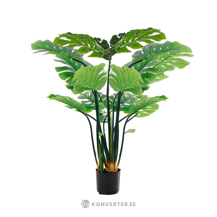 Keinotekoinen kasvi (monstera), jossa on kauneusvirhe