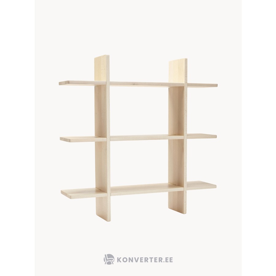 Lentynų saga (vaikų koncepcija)