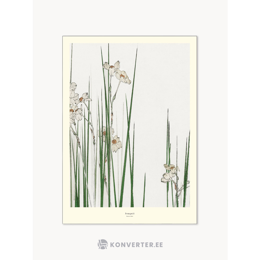 Seinapilt Jonquil (Poster and Frame)