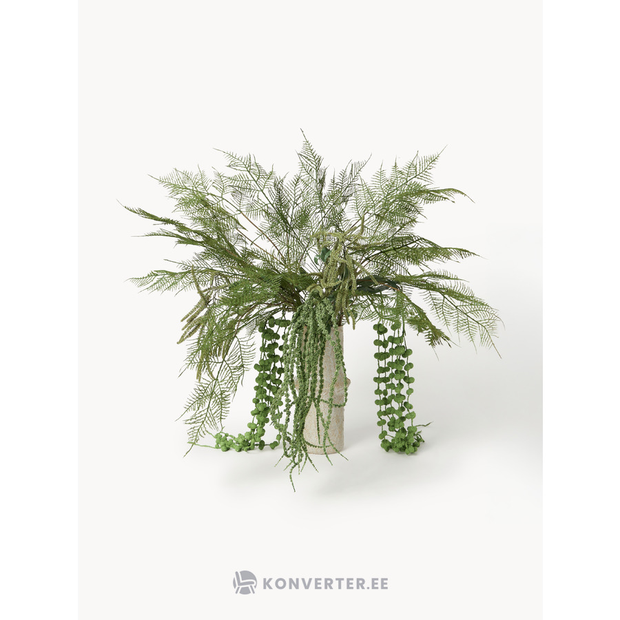 Kunstlillekimp Gree (botané)