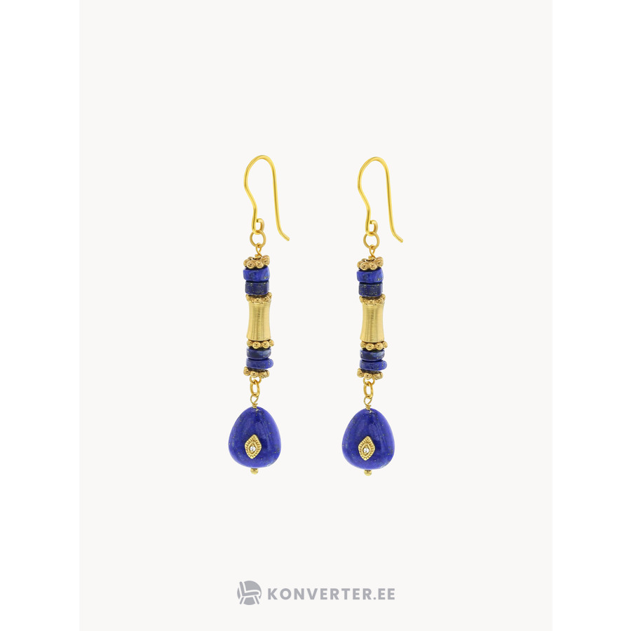 Earrings Neo Featu (Neo)