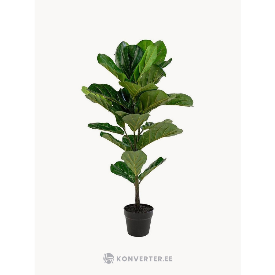 Dirbtinis augalas „Fiddle“ (House Nordic)