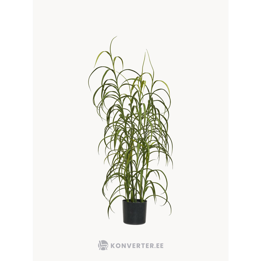 Tekokasvi Grass (House Nordic)