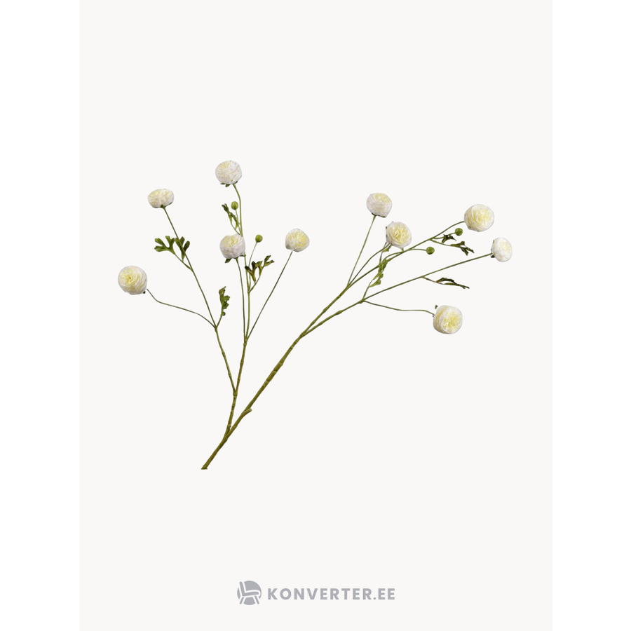 Tekokukat Ranunculus (Silk-ka)