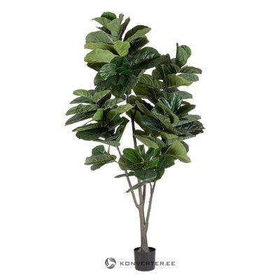 Keinotekoinen kasvi (ficus) ehjä