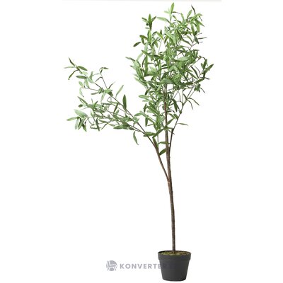 Keinotekoinen oliivipuu oliivi (silkki-myös) 154cm ehjä