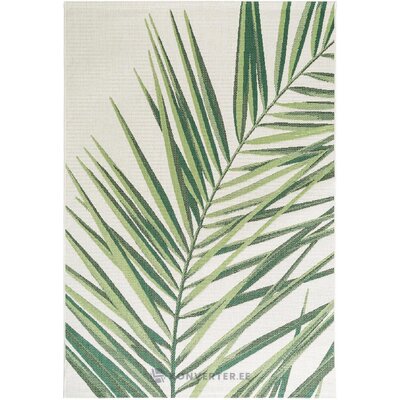 Dizaina paklājs capri palm (benuta) 160x230 neskarts
