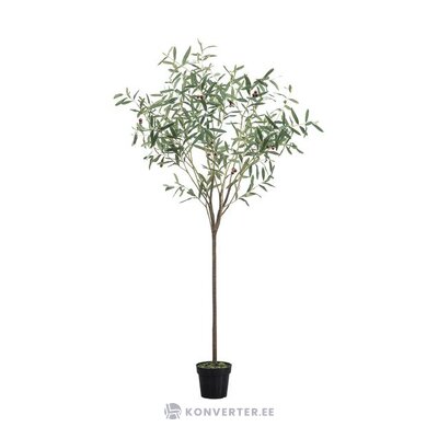 Artificial plant olive tree (gallery direct) intact