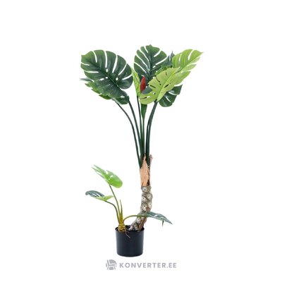 Artificial plant monstera (garpe interiores) whole
