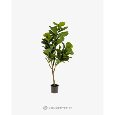 Zaļais mākslīgais augs (ficus)