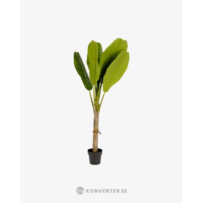 Vihreä keinotekoinen kasvi (banaani)