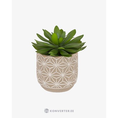 Roheline Kunsttaim (Cactus)