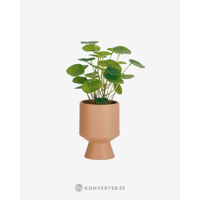 Rozā mākslīgais augs (Bailey)