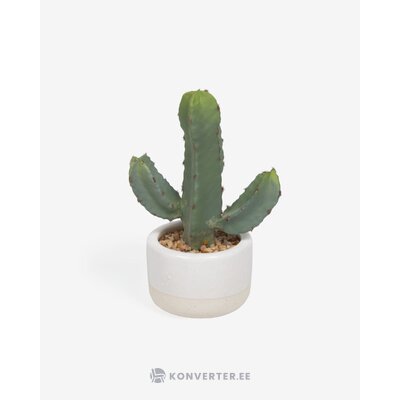 Balts mākslīgais augs (kaktuss)