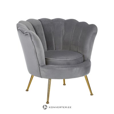 Gray-gold armchair oyster (anderson) whole, in a box