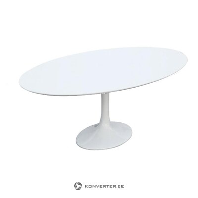 Baltas ovalus pietų stalas (ovalus) visas, dėžutėje