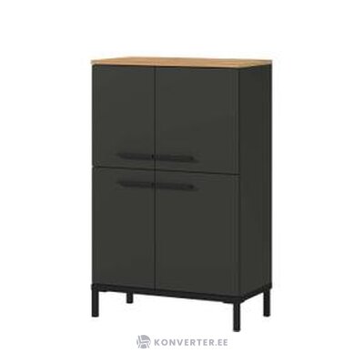 Dark gray cabinet yonkers (germany) with beauty defect
