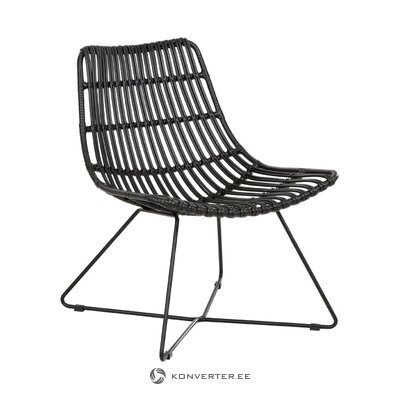 Melnā dārza krēsls (Costa)
