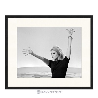 Sienas attēls Brigitte Bardot (jebkurš attēls) neskarts