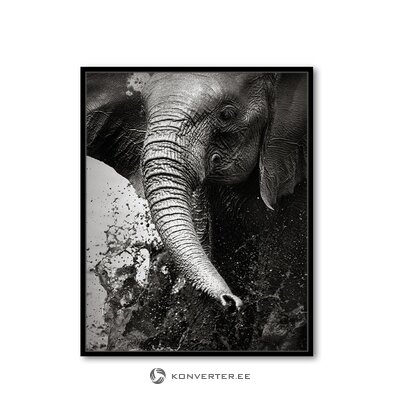 Обои слон (любое изображение)