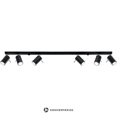 Musta kattovalaisin Etna (Sollux)