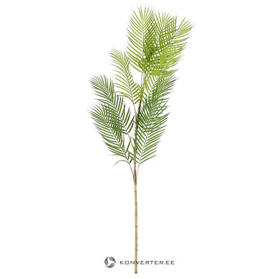 Palm leaf (Narek) H168CM