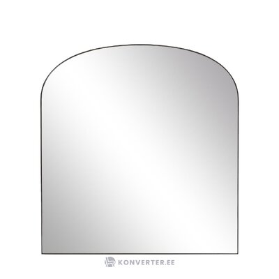 Sienas spogulis (francis)