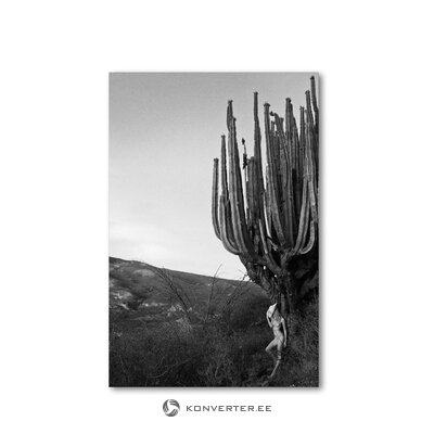 Wall picture cactus tree (c-con)