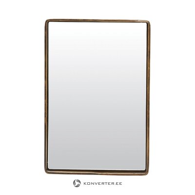 Sieninio veidrodžio atspindys (namų gydytojas)