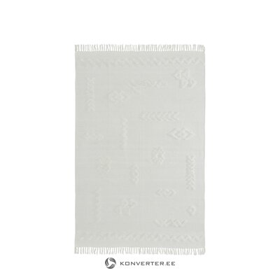 Light gray carpet (fenna) 200x300