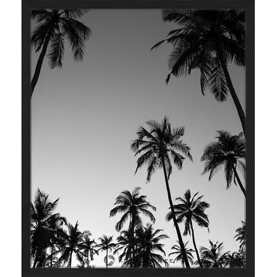 Seinämaalaus palmuista (jacob baden) kauneusvirheillä, salin näyte