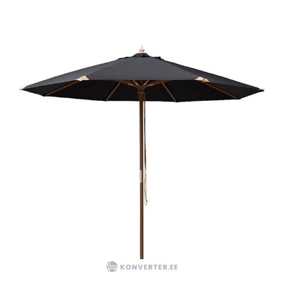 Black parasol capri (cinas) intact