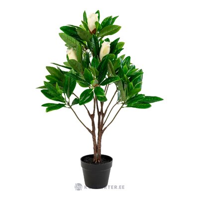 White artificial plant (magnolia tree)