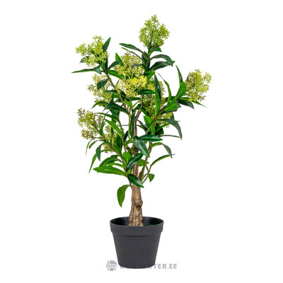 Artificial plant (skimmia tree)