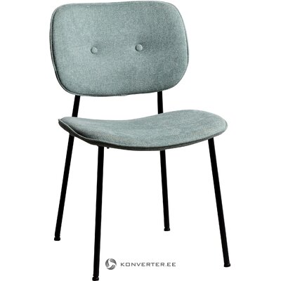 Gaiši zili zaļš krēsls Oprah (ixia) ar skaistuma trūkumu, zāles paraugs