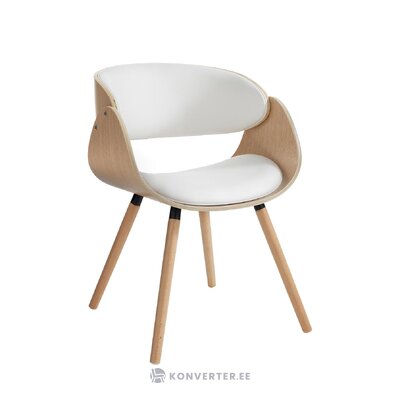 Dizaino kėdė (evo)