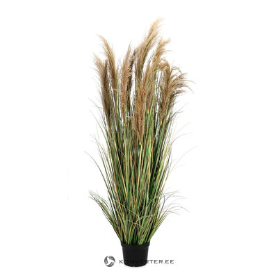 Artificial plant (Austorderia) H180