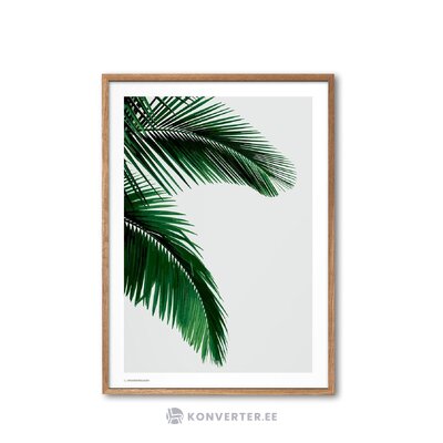 Seinapilt Palm (Novictus) 50x70