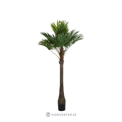 Kunsttaim Palm I (Detall Item)