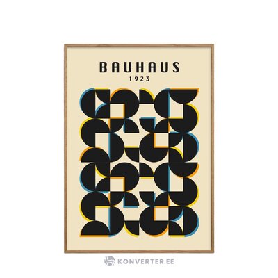 Seinapilt Bauhaus 1923 (Pstrstudio)