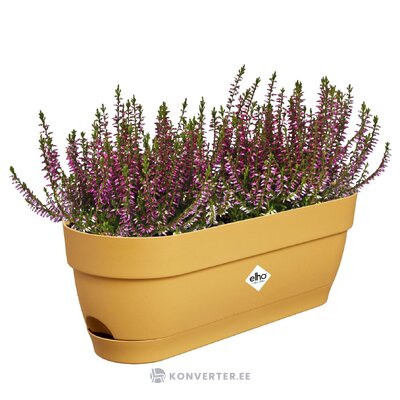 Aia Taimekastid 2 tk Vibia (Plants & Plant Pots)