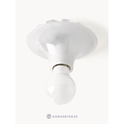 Kattovalaisin Teti (Artemide)