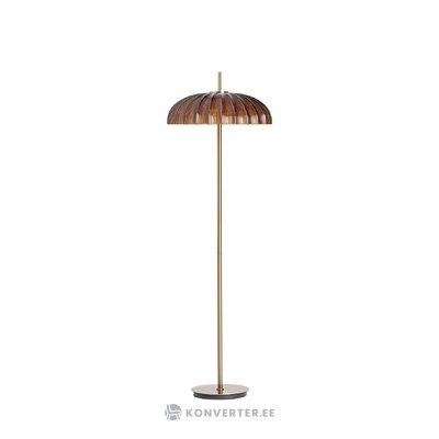 Grīdas lampa (vesels, vesela)