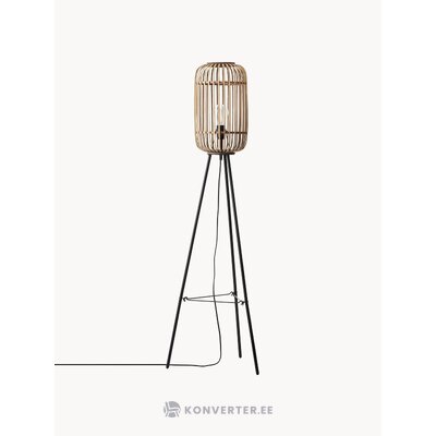 Grīdas lampa Woodrow (izcili)