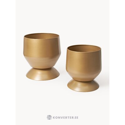 Lillepott renya (w.w)