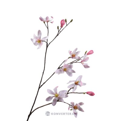 Kunstoks (magnolie)
