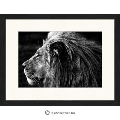 Seinapilt Lion (Jacob Baden) 33x43