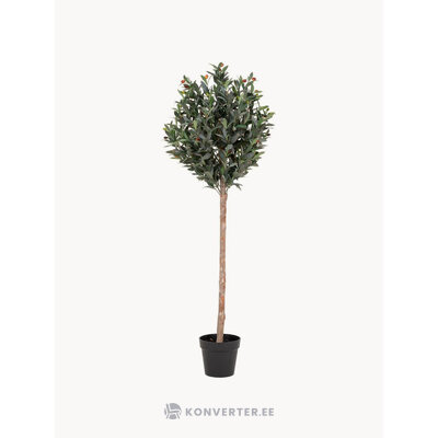 Artificial plant olive tree (house nordic)