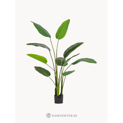 Artificial plant sterilizia (bizzotto)